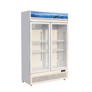 Two-door display case