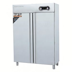 Double-door disinfection cabinet