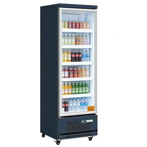 Single-door upright freezer display case-HS-LD-620