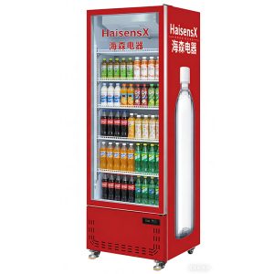Single-door upright freezer display case